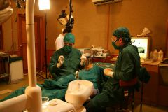 Second Osteology Symposium_109