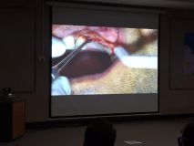 همايش دو روزه ايمپلنت و پيوند استخوان همراه با جراحي زنده  - همدان 95