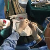 آموزش جامع GBR بهمراه جراحي زنده